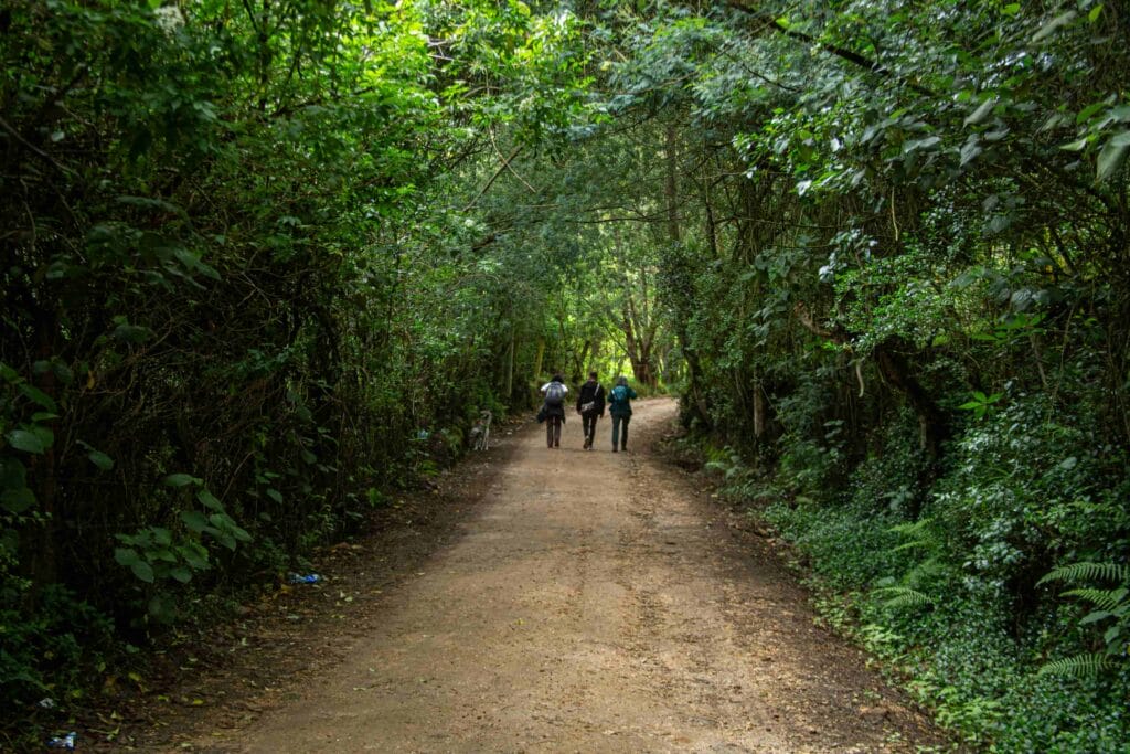 Camino de serpiente (ZITA AÏE) con relator indígena Muisca