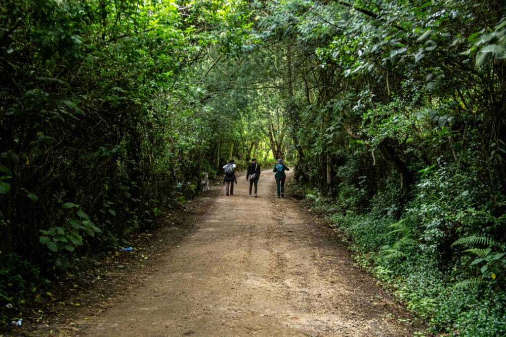 Camino de serpiente (ZITA AÏE) con relator indígena Muisca