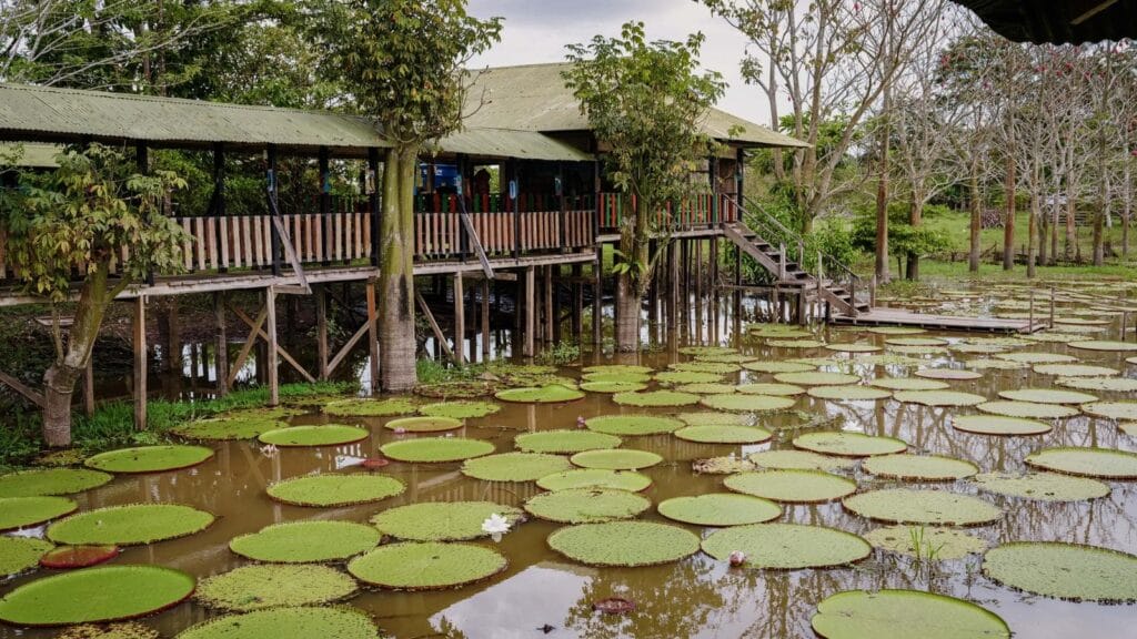 Viaje al Amazonas con guías indígenas Ticuna