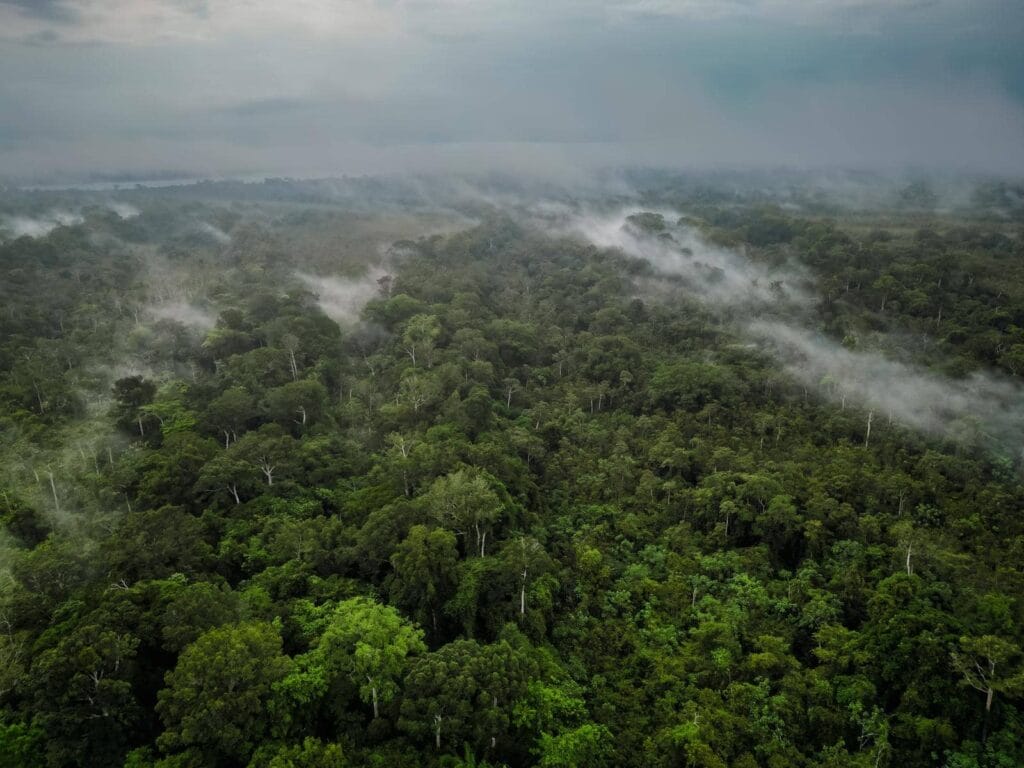 Viaje al Amazonas con guías indígenas Ticuna